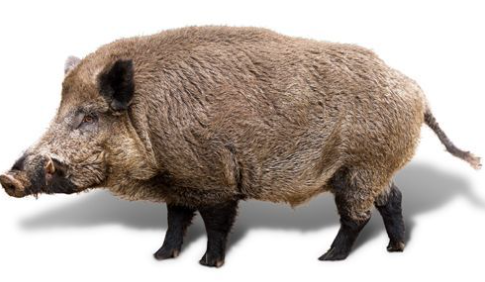 [요약] 🐗데이터 기반 애플리캐이션 설계 Ch.1